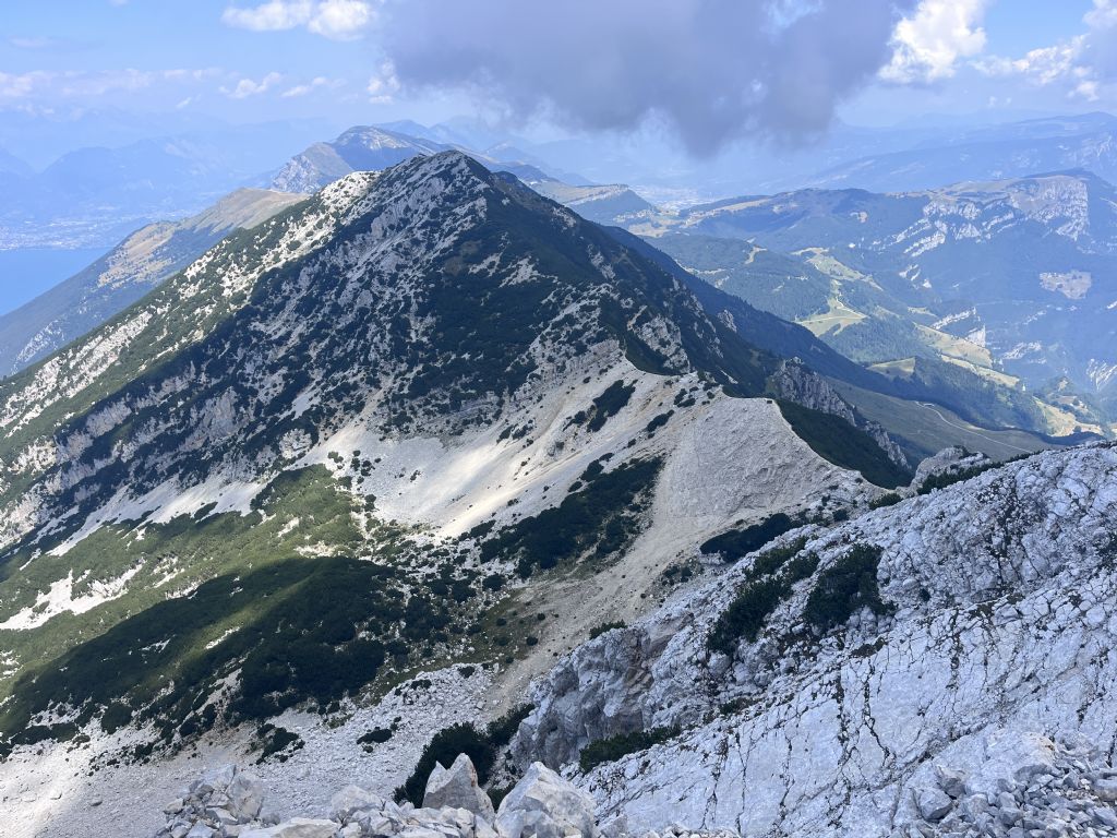 Raponzolo....